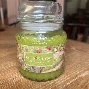 Gold Canyon Apple‎ Orchard Pearadise Candle 16 Oz